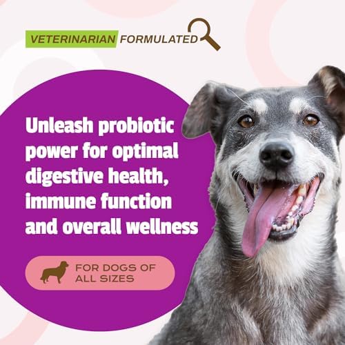 Pet Naturals Daily Probiotic for Dogs, Duck Flavor, 160 Chews - 120M CFUs Pre and Probiotics for Dogs Digestive Health, Gut Health, Immune Support, Diarrhea, Allergies and Itching