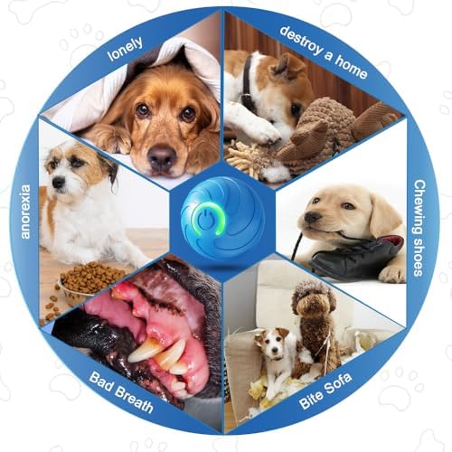 2025 New Vibrating Dog Ball, Automatic Moving Dog Ball, Pet Bounce Ball, Interactive Dog Toys, Viral Bouncing Ball, Shaky Ball Toy Rolling Ball Toys for Small Cats Dogs (s-2pc Mix)