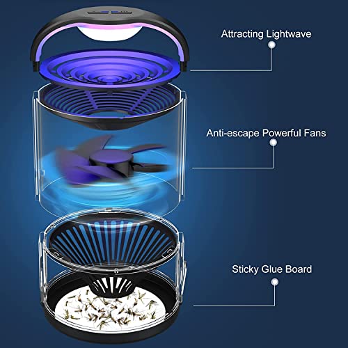 Fly Traps, Gnat Traps, Moth Traps, Mosquito Traps with 10 Sticky Glue Boards Fruit Fly Traps Indoor,White (Black)