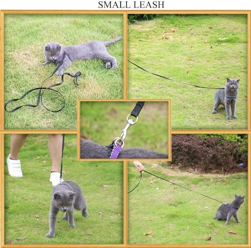 AMAGOOD 6 FT Puppy/Dog Leash, Strong and Durable Traditional Style Leash with Easy to Use Collar Hook,Dog Lead Great for Small and Medium and Large Dog (5/8 in x 6 ft, Black and Purple(2-Pack))