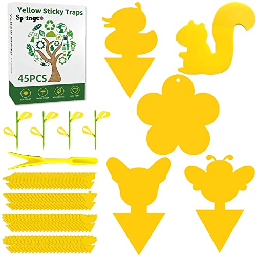 Springco Fruit Fly Traps Gnat Yellow Sticky Traps 50 Pack Sticky Traps for Indoor/Outdoor House Plants Flower Fungus Traps Insect Fungus Gnats,Flies,Pest Insect Catcher Killer (45(45+4+1) 50pack)