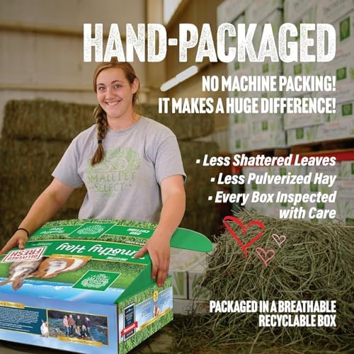 Small Pet Select 2nd Cutting Perfect Blend Timothy Hay Pet Food for Rabbits, Guinea Pigs, Chinchillas and Other Small Animals, Premium Natural Hay Grown in The US, 2 LB