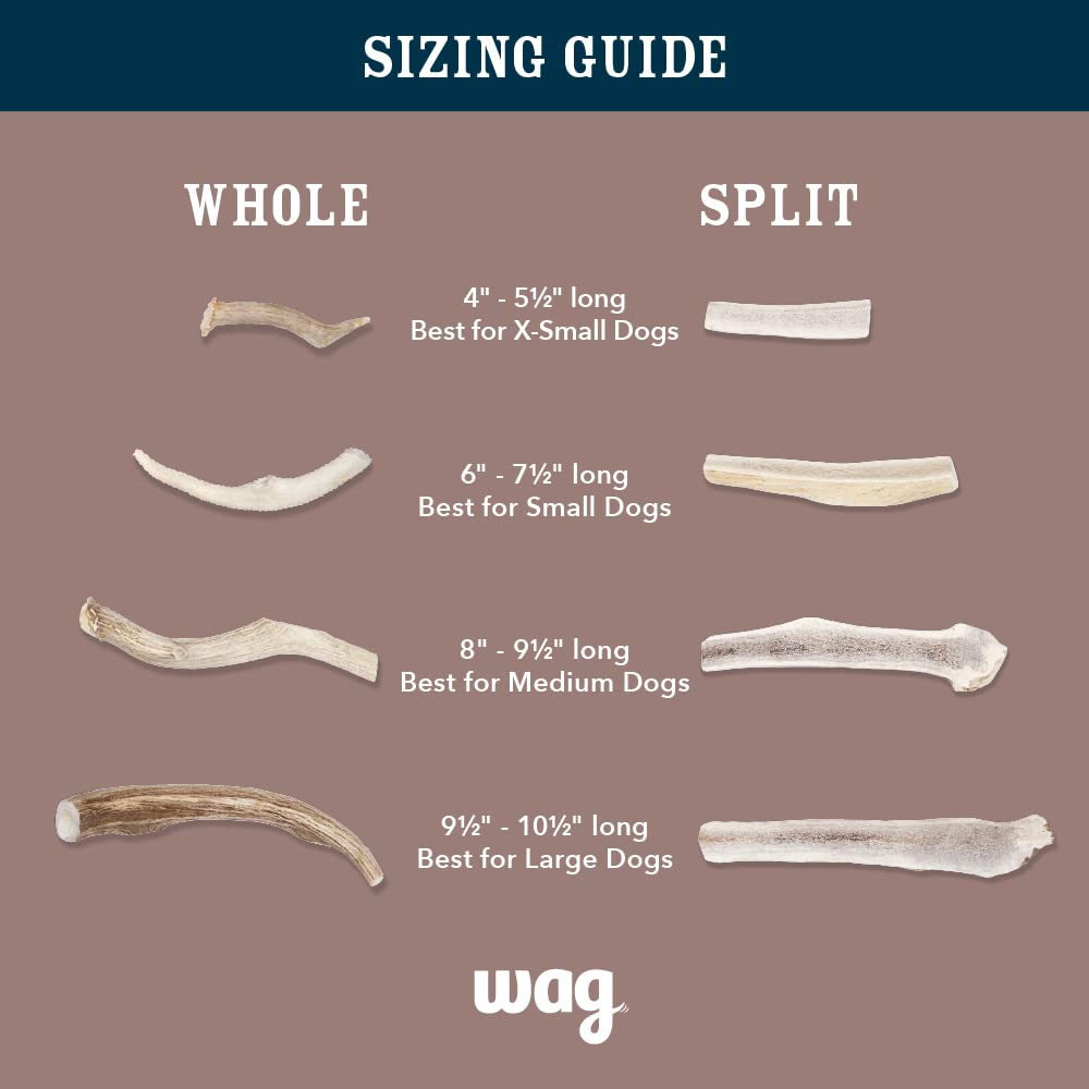 Wag Split Elk Antler, Naturally Shed, Long Lasting for Aggressive Chewers, Large (Best for Dogs 30-45 lbs)
