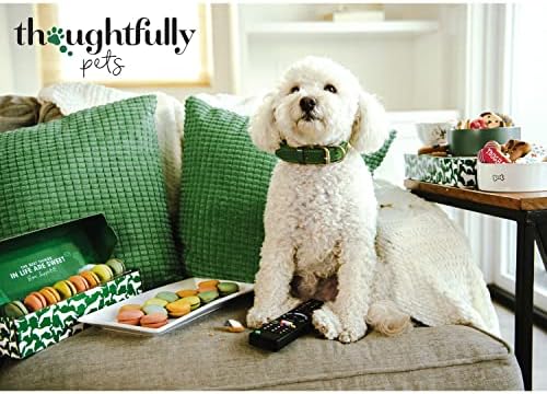 Thoughtfully Pets, Gourmet Dog Cookie Gift Set, Peanut Butter Flavored Crunchy Dog Treats in Bone Shape with Easter Designs, Set of 8