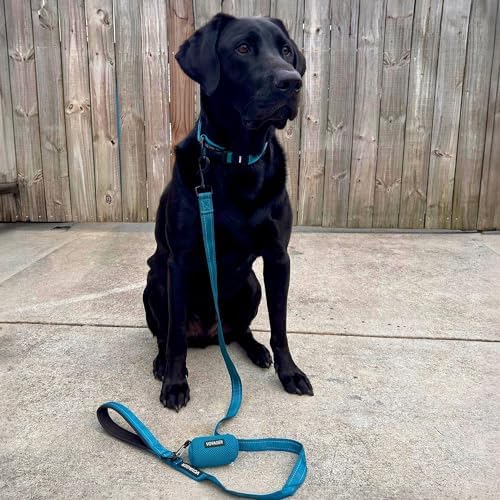 Voyager Reflective Dog Leash Collar Set with Neoprene Handle Supports Small, Medium, and Large Breed Puppies, Cute and Heavy Duty for Walking, Running, and Training - Turquoise, S