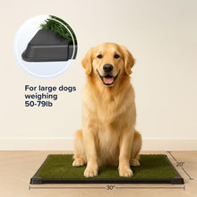 Load image into Gallery viewer, Artificial Grass Puppy Pee Pad for Dogs and Small Pets - 20x30 Inch, Reusable 3-Layer Turf Pads for Dogs with Tray - Indoor and Outdoor Fake Grass Potty Pet Supplies by PETMAKER