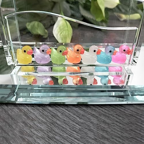 220 Pcs Mini Resin Ducks Luminous Tiny Ducks Miniature Duck Glow in The Dark for DIY Garden Dollhouse Duck Accessories Micro Landscape Aquarium Party Decor