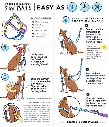 2 Hounds Design Freedom No Pull Dog Harness, Adjustable Harness and Leash Set, Easy Walking & Comfortable Control, Fits Small, Medium & Large Dogs, Solid Colors, Made in USA, 1" MD, Kelly Green