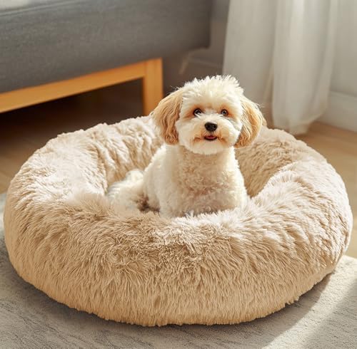 JOLLYVOGUE Dog & Cat Bed, Calming Anti-Anxiety Pet Bed for Small Dogs, Fluffy Donut Cushion for Small and Medium Pets (24")