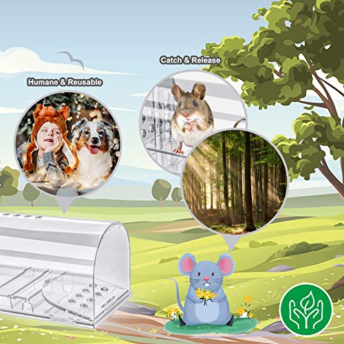 4 Pcs Humane Mouse Traps No Kill, Live Mouse Traps Indoor for Home, Reusable Mice Small Rat Trap Catcher for House & Outdoors