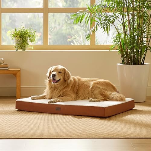 Bedsure Dog Beds Large Sized Dog - Extra-Large Orthopedic Waterproof Puppy Bed with Removable Washable Cover, Egg Crate Foam Pet Mat, Suitable for Pet Up to 100 lbs