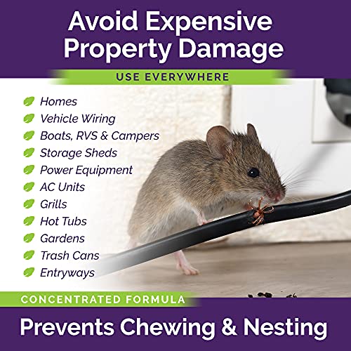 Peppermint Oil Spray for Rodents Plus Cinnamon Oil - MAX Power Mouse Repellent for Home RV Campers Boats Car Engines – Repel Mice and Rats from House Non-Staining 2X Strength (2 Pack) by Lazy Cat