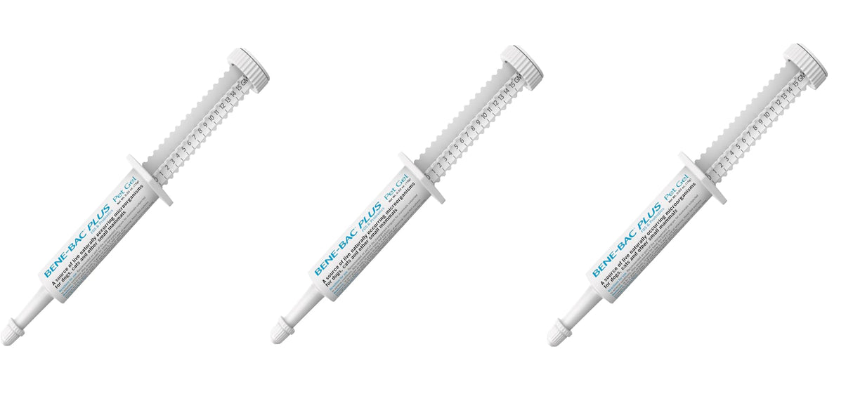 (3 Pack probiotique Pet Gel 15g Chaque X 3 Seringues