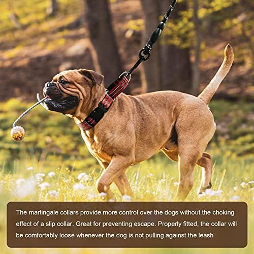 Hikiko Martingale Dog Collars Reflective Nylon Dog Collar with Quick Release Buckle Adjustable Training No Slip Dog Collar (X-Small, Red)