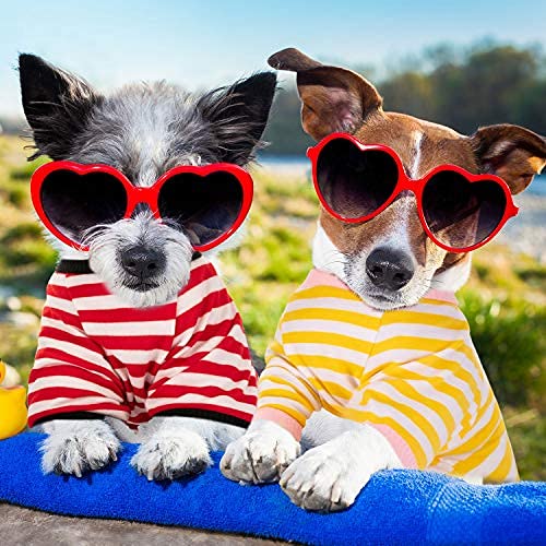 Geyoga 6 Pieces Dog T-Shirt Striped Cotton Breathable Spring Pet Apparel Colorful Soft Puppy Sweatshirt Clothes for Small to Medium Dogs Puppy(Light Color,M)