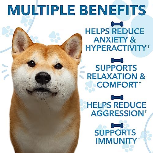 Hemp Calming Chews for Dogs with Anxiety and Stress - 180 Soft Dog Calming Treats - Dog Anxiety Relief - Storms, Fireworks, Thunder, Barking, Separation Aid - Valerian Root - L-Tryptophan - Hemp Oil
