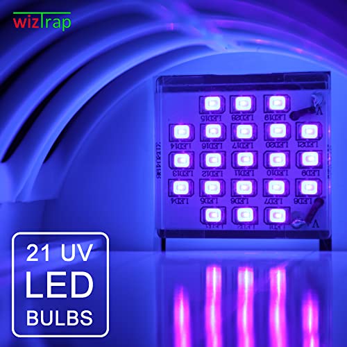 WizTrap™ 2-Pack Large Indoor Plug in Fly Trap, 21 UV LED Bulbs, 10 Sticky Glue Board Refills, A Home Gnat Trap, Moth Trap, Flies, Bug Trap, Mosquito Trap! (2 Devices 10 Glue Boards)