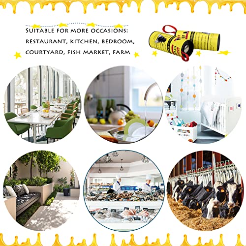 40 Rolls Fly Strips - Fly Tapes Fly Paper Sticky Fly Trap Indoor/Outdoor Hanging,Fly Catcher Fly Ribbon Fungus Gnat Trap Fruit Fly Killer for House/Kitchen/Plants/Horse Stable (40Roll)