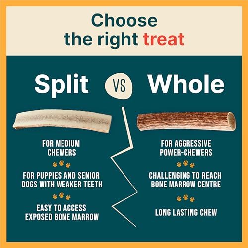 100% Natural - Elk Antlers for Dogs - Naturally Shed in USA - Long Lasting Chews for Aggressive Chewers - Natural, Real Dog Antler Treats & Toys - Dog Chews - No Odor & No Mess - Large