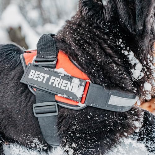 Personalized No-Pull Dog Harness with Name Patch, Padded, Adjustable and Reflective Service Dog Vest, Easy On Dog Harnesses for Medium Large Small Sized Dog Light Blue, M