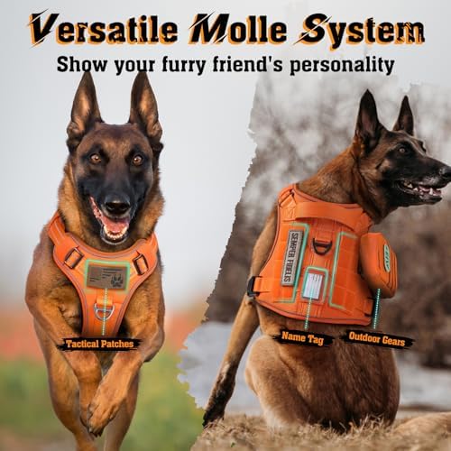 rabbitgoo Dog Harness Small Sized No Pull, Tactical Service Pet Vest with Molle and Control Handle, Adjustable and Reflective Military Harness for Easy Walking and Training, Orange, S
