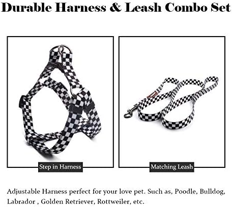 QQPETS Dog Harness Leash Set Adjustable Heavy Duty No Pull Halter Harnesses for Small Medium Large Breed Dogs Back Clip Anti-Twist Perfect for Walking (M(19"-26" Chest Girth), Black Plaid)