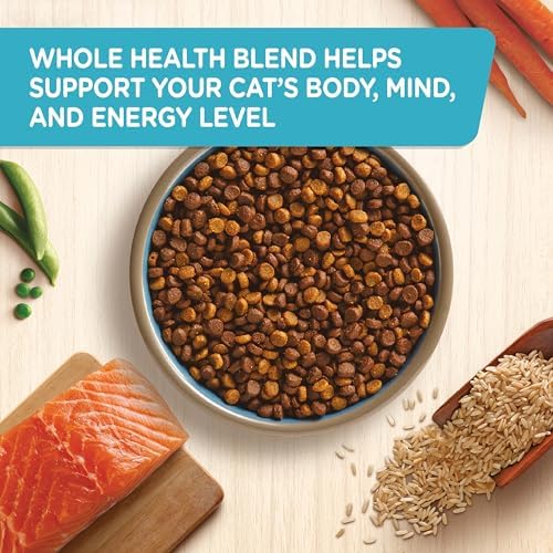 Rachael Ray Nutrish Premium Natural Dry Cat Food, Real Salmon & Brown Rice Recipe, 14 Pounds (Packaging May Vary)