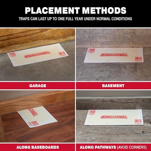 Catchmaster Crawling Insect Trap XL Giant Glue Traps 20-PK, Adhesive Bug Catcher, Spider, Cricket, Ant & Roach Traps for Home, Bulk Insect Killer Glue Boards for House & Garage, Pet Safe Pest Control