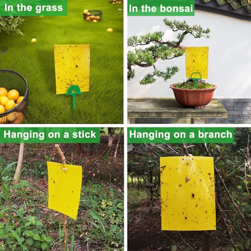 60 Sheets Sticky Fly Traps, Dual-Sided, for Flying Insect, Indoor and Outdoor, 8x6 Inch, Yellow