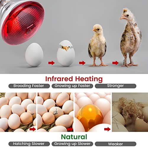 Heat Lamp for Chickens Coop Brooder and Reptile Heat Bulb 150 Watt Infrared Red Light