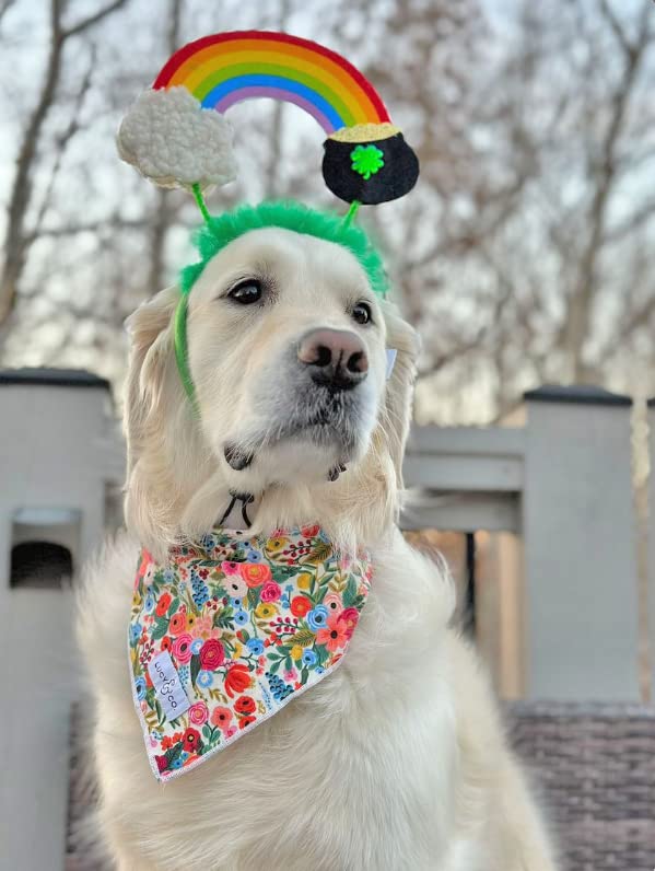 Midlee St. Patrick's Rainbow Pot of Gold Dog Headband Costume