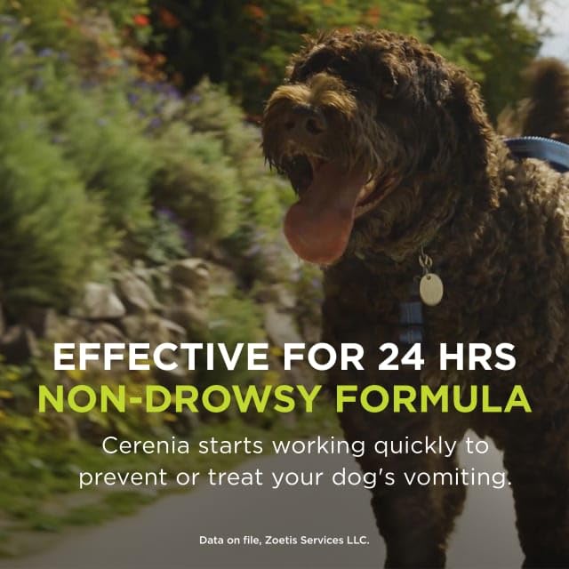 Cerenia (maropitant Citrate) for Dogs, 16 mg (Green), 4 Tablets