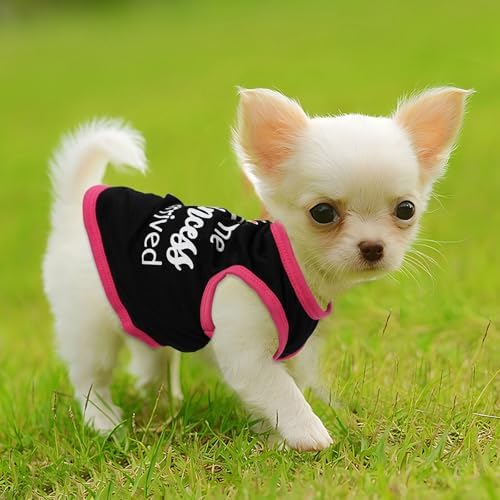 4 Pieces Dog Clothes for Small Dogs Girl Boy Summer Puppy Clothes for Chihuahua Yorkie Soft Cute Pattern Dog Shirt Spring Pet Cat Clothing Pink Rose Red Green XXS~M (Pink,Rose,Black,Grey, Medium)