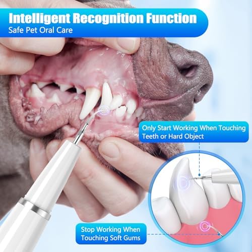 Dog Tartar Remover for Teeth, Dog Teeth Cleaning Kit with LED Light and 5 Modes, Teeth Cleaner for Dogs and Cats,White