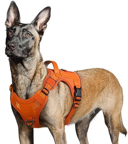 rabbitgoo Tactical Dog Harness for Large Dogs, No Pull Military Service Vest with Handle & Molle, Easy Control for Training Walking, Adjustable Reflective Straps, Orange, L