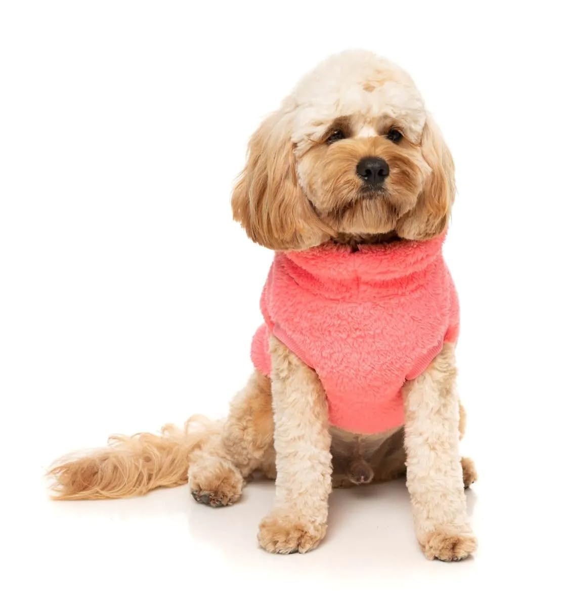 FuzzYard Turtle Teddy Super Soft Sweater Turtle Neck for Dogs with Drawstring (Peach, Size 2)