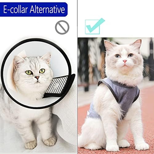 Cat Surgery Recovery Suit Cat Onesie for Cats After Surgery Spay Surgical Abdominal Wound Skin Diseases E-Collar Alternative Wear (Grey-Blue-M)