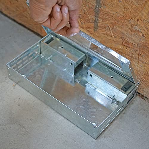 Southern Homewares Itrap Multi-Catch Clear Top Humane Repeater Mouse Trap, 2 Pack