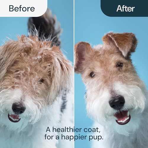 MalsiPree 2-in-1 Dog Grooming Brush & Undercoat Rake - Deshedding Brush and Dematting Comb for Long or Short Haired Dogs - Anti-Shedding Pet Tool - Deshedding Tool