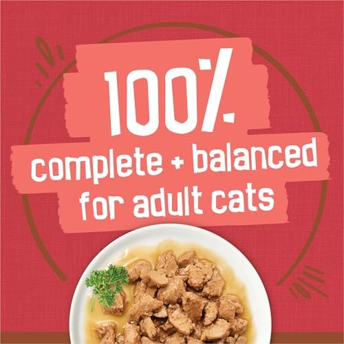 Purina Friskies Extra Gravy Wet Cat Food Chunky With Beef in Savory Gravy - (Pack of 24) 5.5 oz. Cans