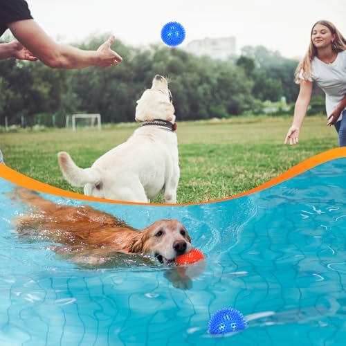 petizer 6 Pack 2.5” Squeaky Dog Toy Balls, Floating Dog Pool Balls, Spiky Dog Balls, Durable Interactive Fetch Toys for Puppy, Dog Chew Toys for Teething (2.5", Small Dog)