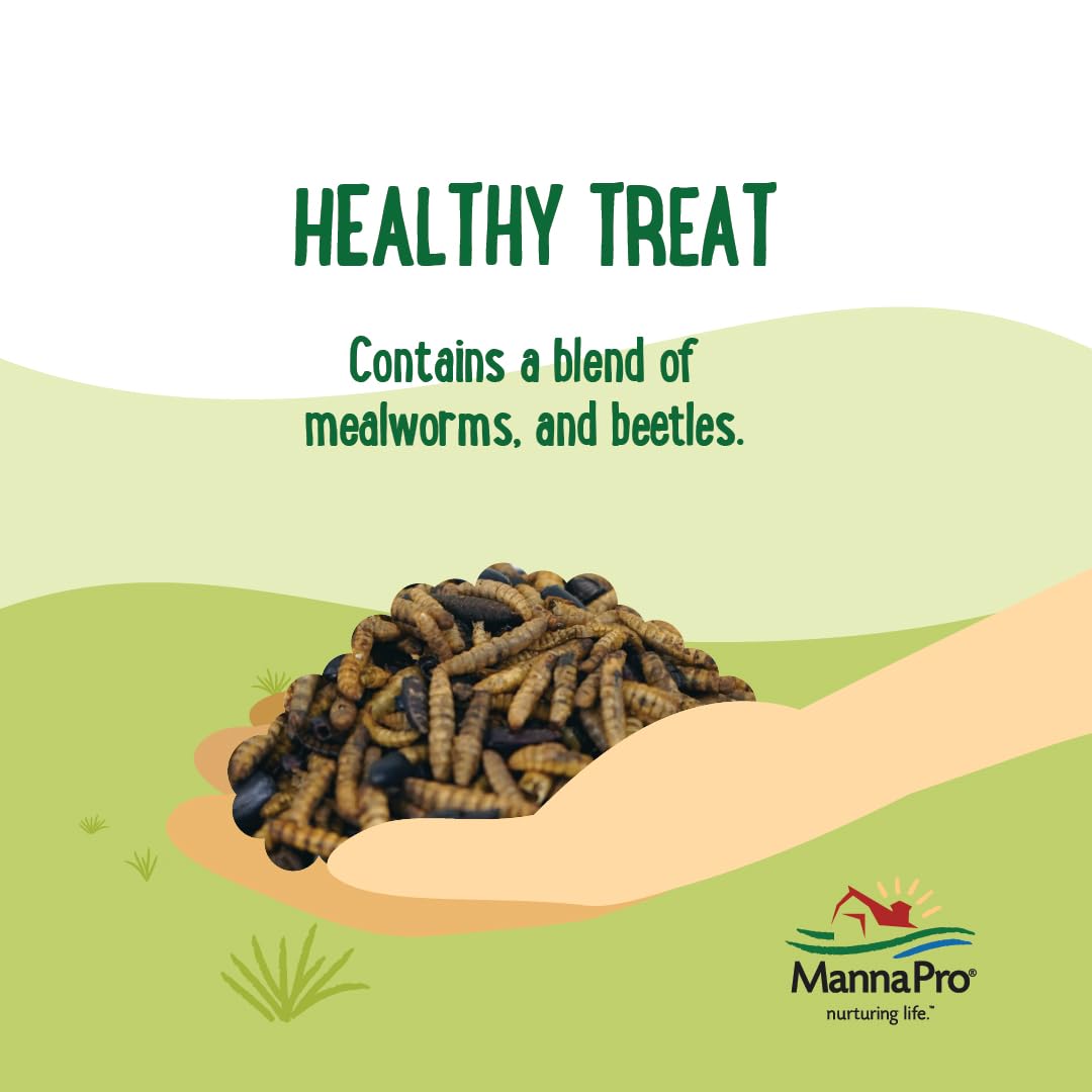 Manna Pro Farmhouse Favorites Beetle Bliss Poultry Treat – Blend of Mealworms and Beetles – All Natural Treat for Chickens, Ducks, Geese, Turkeys, & Guinea Fowl – 45% Protein – 2lb Bag