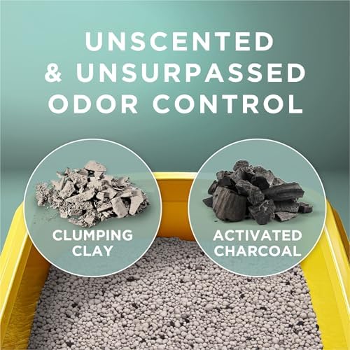 Purina Tidy Cats Clumping Cat Litter Odor Control, Free and Clean Unscented Multi Cat Litter - 16 lb. Bag