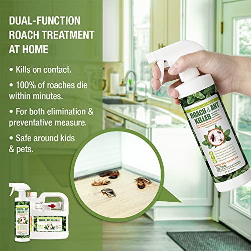EcoVenger by EcoRaider Roach & Ant Killer, Kills on Contact,Kills Ants & Other Indoor&Outdoor Crawling Insects, Natural & Non-Toxic, Pleasant Botanical Scent, Safe for Children & Pets 64oz