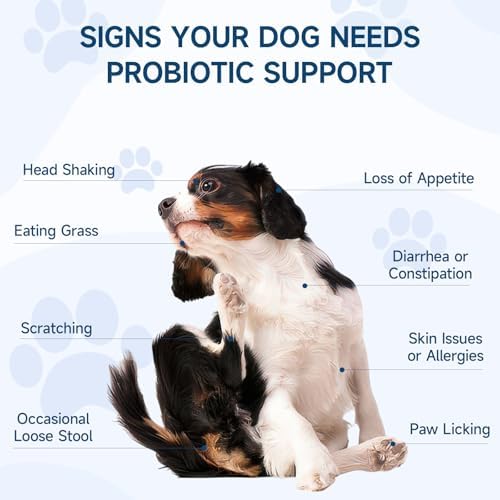 Probiotics for Dogs, 200 Soft Treats Dog Probiotics for Digestive Health & Immune System, Probiotic Chews for Dogs, Support Gut Health | Itchy Skin | Diarrhea | Gas Relief Treatment