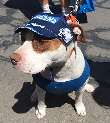 Dog Hat - Eagles Sports Fabric