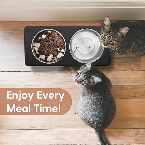 Elevated Cat Bowls, 15° Tilted Raised Cat Food Bowls Wood Pet Bowls with Stand Anti Vomiting 2 Stainless Steel Bowls for Cats and Puppy