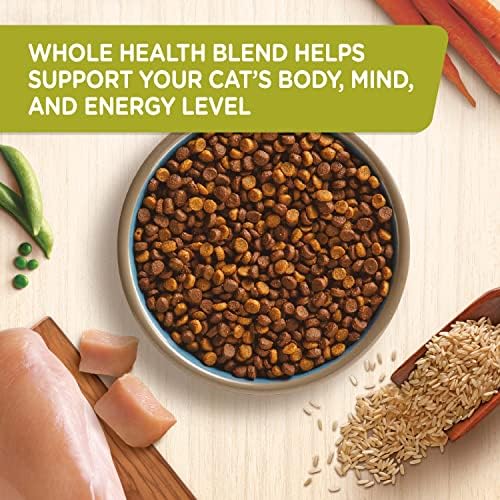 Rachael Ray Nutrish Premium Natural Dry Cat Food, Real Chicken & Brown Rice Recipe, 6 Pounds (Packaging May Vary)
