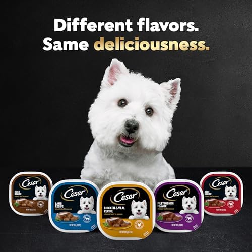 CESAR Adult Wet Dog Food Classic Loaf in Sauce Turkey Recipe, 3.5 oz. Easy Peel Trays, Pack of 24