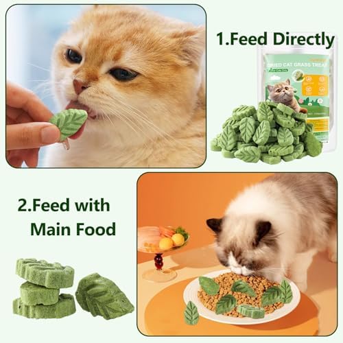 100g/3.52oz Cat Grass Treats, Cat Grass Teething Stick for Hairball Remove and Teeth Cleaning, Edible Cat Grass Stick Snack